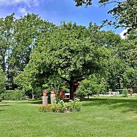B&B Jaraba
