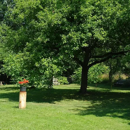 Oda ve Kahvaltı Jaraba 2*