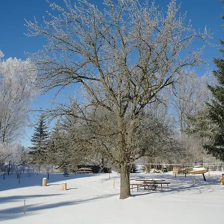 Oda ve Kahvaltı Jaraba 2*