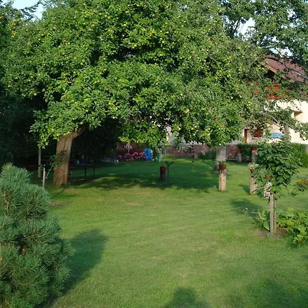 Oda ve Kahvaltı Jaraba 2*